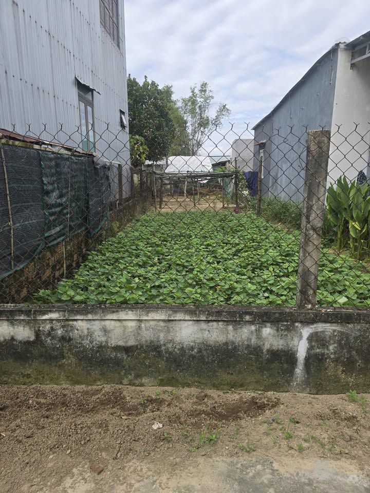 Lô đất mặt tiền Điện Nam Đông 100m² - Giá tốt, sổ đỏ chính chủ!