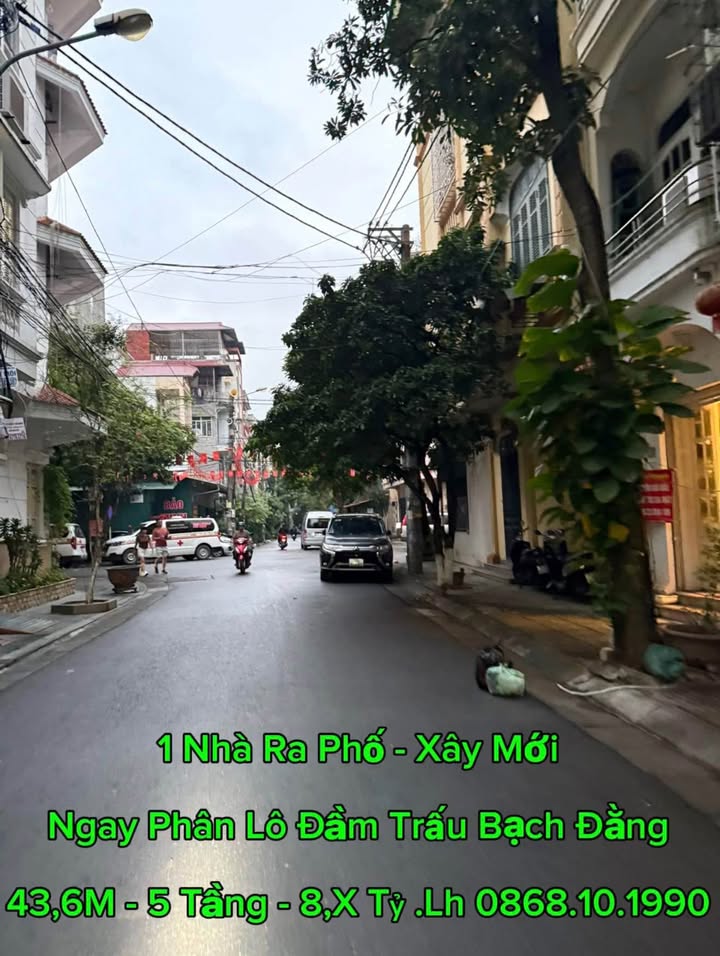 Nhà phố Đầm Trấu, Bạch Đằng, 43m² giá 8 tỷ - Sẵn sàng vào ở ngay!