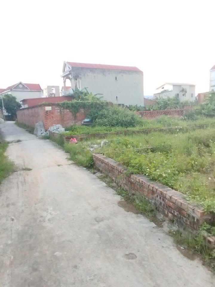 Đất thổ cư Nguyên Khê, Đông Anh 75m² giá 5.3 tỷ - Giao thông thuận lợi, ô tô vào tận nơi!