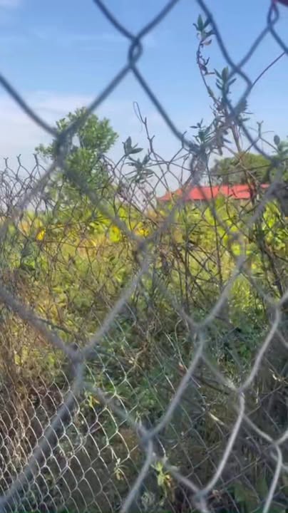 Đất nền Khánh Thành Yên Khánh 300m² giá thương lượng - Cơ hội đầu tư hấp dẫn!