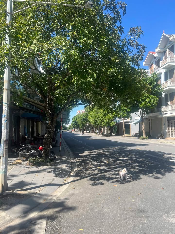 Đất liền kề mặt đường Phạm Ngọc Khánh, Hải Dương 109.25m² - Đầu tư lý tưởng!