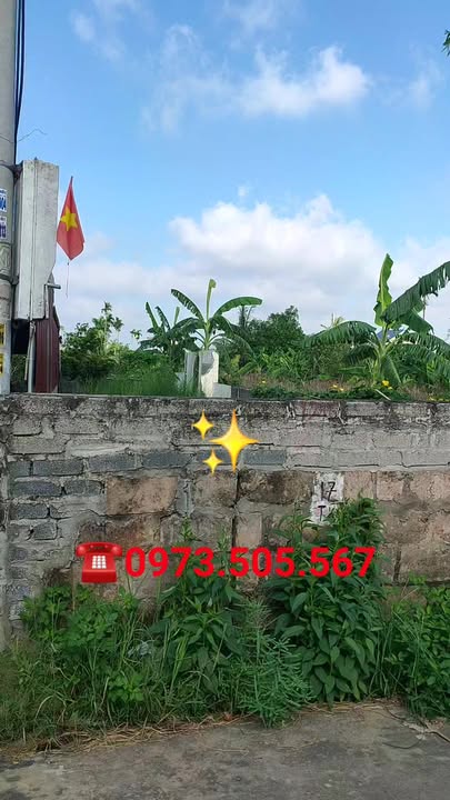 Đất thổ cư thôn Thanh Kỳ, An Thanh, Tứ Kỳ 148m² giá 1 tỷ - Cơ hội đầu tư hấp dẫn!