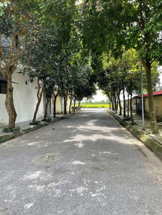 Lô đất TĐC Vũ Phúc - TP Thái Bình 71.4m² giá 2 tỷ - Vị trí đẹp, không lỗi phong thủy!