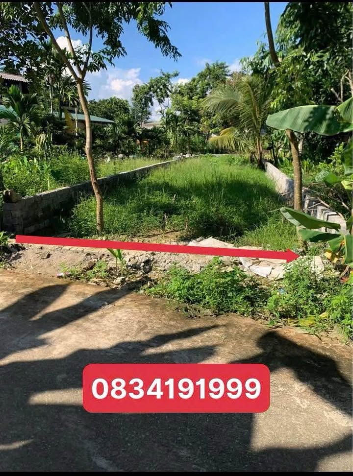 Đất thổ cư 150m² tại Yên Sơn, Tuyên Quang - Giá chỉ 1 tỷ, sổ đỏ chính chủ!