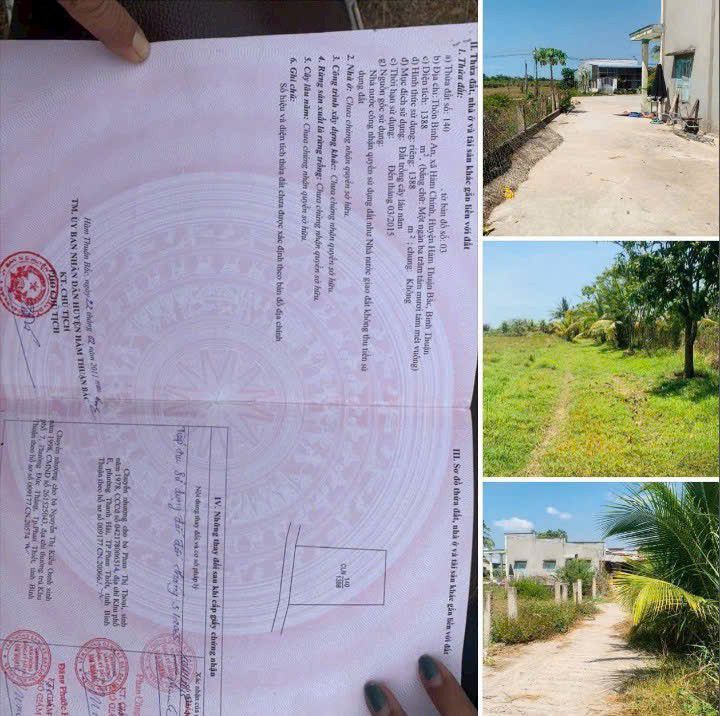 Đất vườn 1300m² tại Bình An, Hàm Chính - Giá 550 triệu, tiềm năng phát triển!