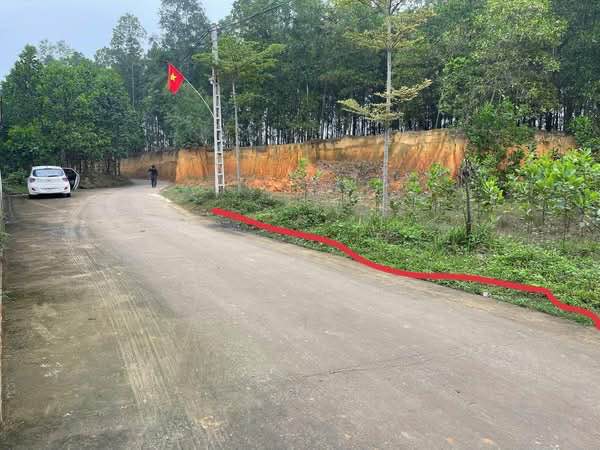 Đất nền Vạn Phái Phổ Yên 300m² giá 600 triệu - Đầu tư sinh lời ngay!