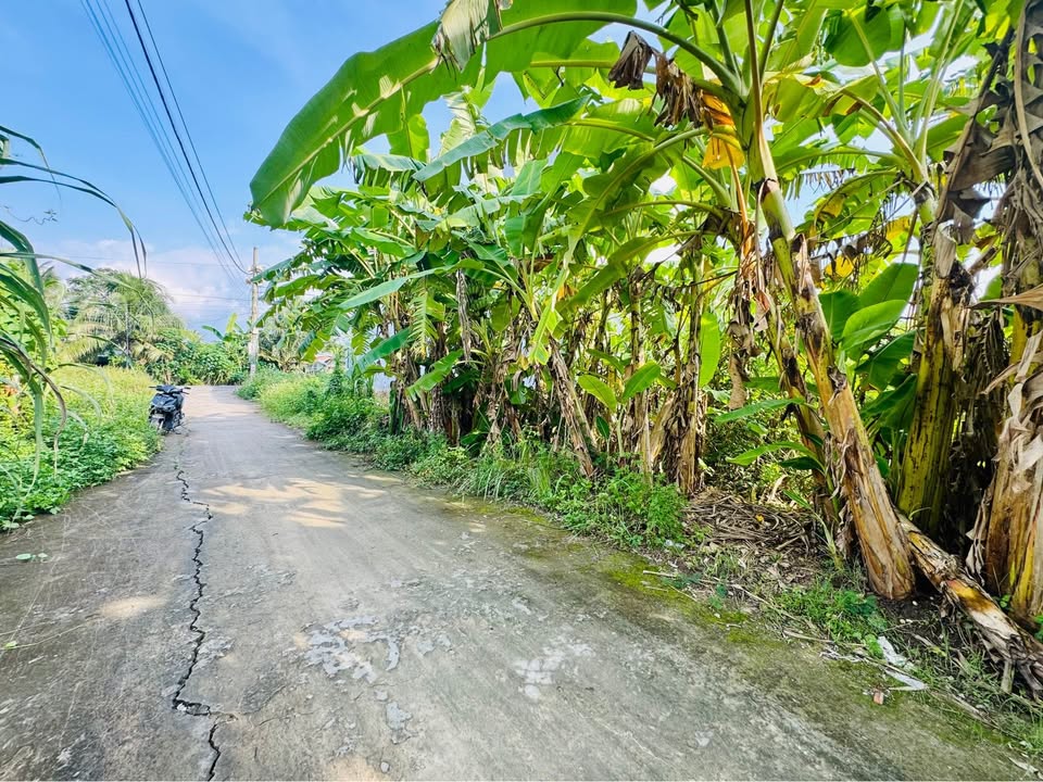 Đất nền Tân Mỹ Chánh TP Mỹ Tho 100m² giá 830 triệu - Pháp lý rõ ràng, vị trí đẹp!