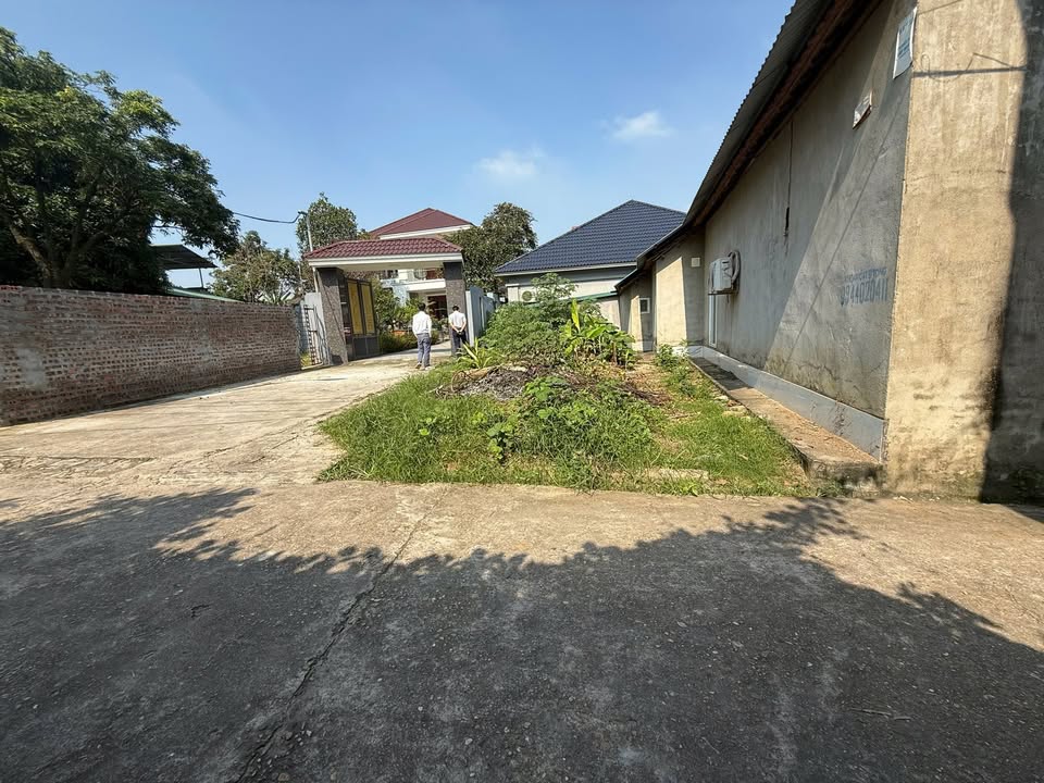 Đất nền Minh Phương, Việt Trì 61.8m² giá 1.6 tỷ - Đầu tư sinh lời ngay!