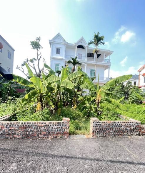 Đất Nguyên Khê, Đông Anh 81m² giá 4 tỷ - Đầu tư sinh lời ổn định!