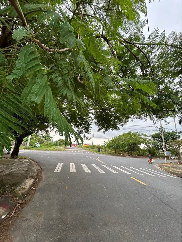 Đất nền Cẩm Lệ Đà Nẵng 123m² giá 2.8 tỷ - Lô duy nhất còn sót lại!