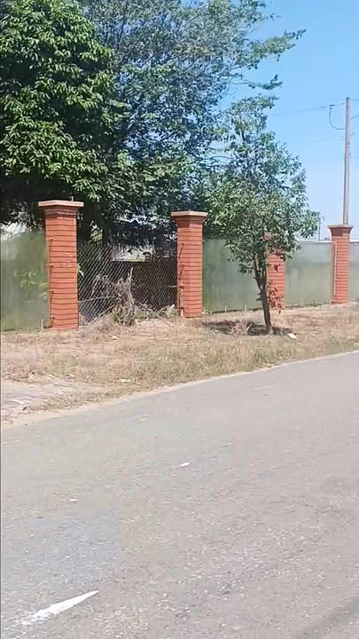 Farm Mỹ Hạnh, Đức Hòa, Long An 2025m² giá 22 tỷ - Nhà vườn cực đẹp, chill ngay!