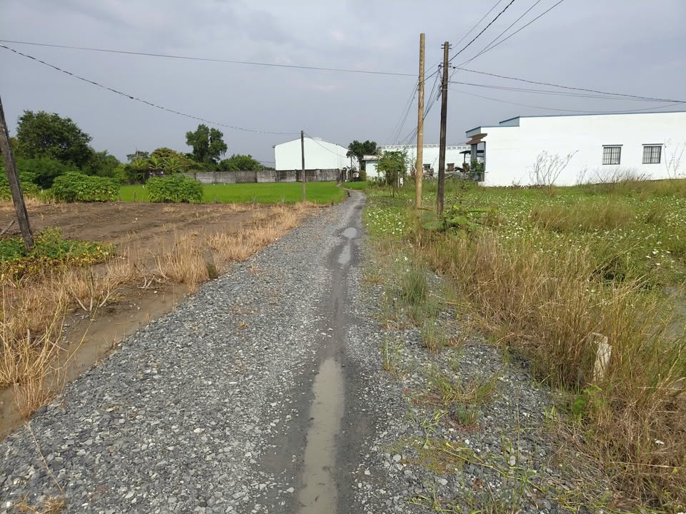 Đất lúa 1000m² tại Ấp 1, Xã Phước Đông, Cần Đước - Giá chỉ 1.8 tỷ, Thương lượng chính chủ!