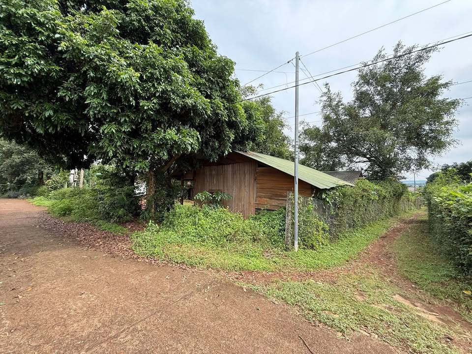 Đất xây nhà vườn Cư Suê 510m² giá 3 tỷ - Đầu tư lý tưởng!