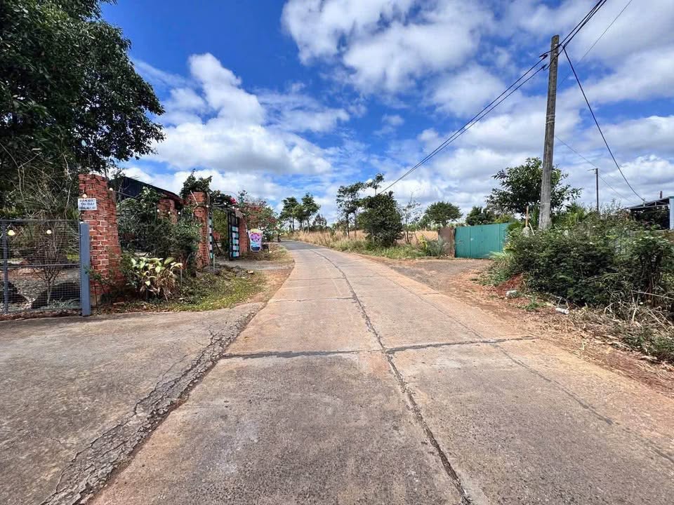 Nhà vườn 994m² tại phường Khánh Xuân, Đắk Lắk - Giá chỉ 3 tỷ!