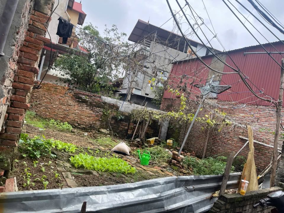 Đất nền Phù Khê, Từ Sơn, Bắc Ninh 67m² giá chỉ 1 tỷ - Cơ hội đầu tư hấp dẫn!