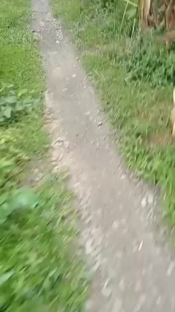 Đất nền Hậu Mỹ Trinh Cái Bè 1000m² giá 430 triệu - Cơ hội đầu tư hấp dẫn!