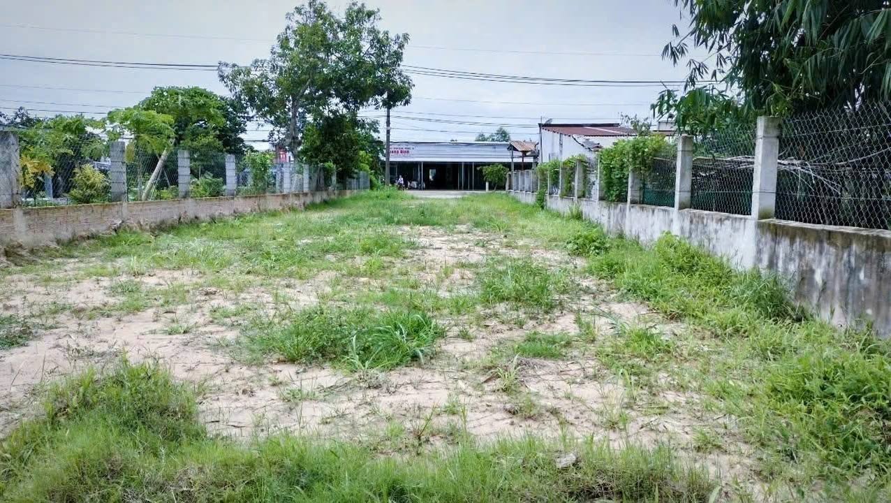 Bán đất mặt tiền Tỉnh lộ 2, xã Trung Lập Hạ, 540m² - Giá tốt cho khách mua nhanh!