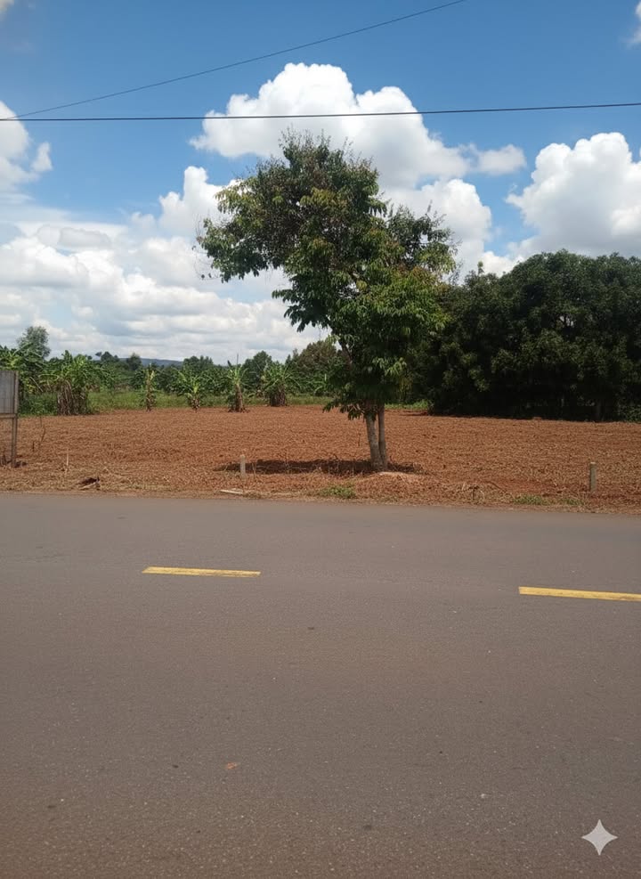 Đất nền Suối Chồn Long Khánh 234.5m² giá 950 triệu - Pháp lý rõ ràng, sổ riêng!