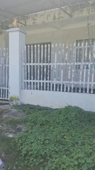 Đất thổ cư Hậu Nghĩa 149m² giá 2.3 tỷ - Mặt tiền đường nhựa thuận lợi!