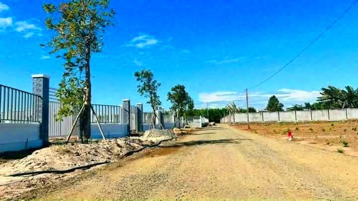 Đất Phước Hội Đất Đỏ 1000m² giá 1.8 tỷ - Đầu tư lý tưởng cho tương lai!