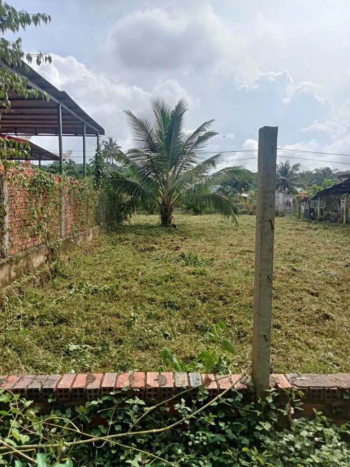 Đất nền Xà Bang Châu Đức 239m² giá 1.8 tỷ - View hồ ao cá lý tưởng!