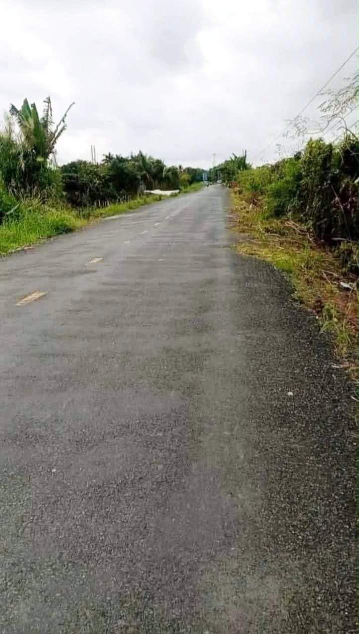 Đất mặt tiền tỉnh lộ 864, Cái Bè 4000m² giá 2.5 tỷ - Đất vuông vắn, giao dịch nhanh!