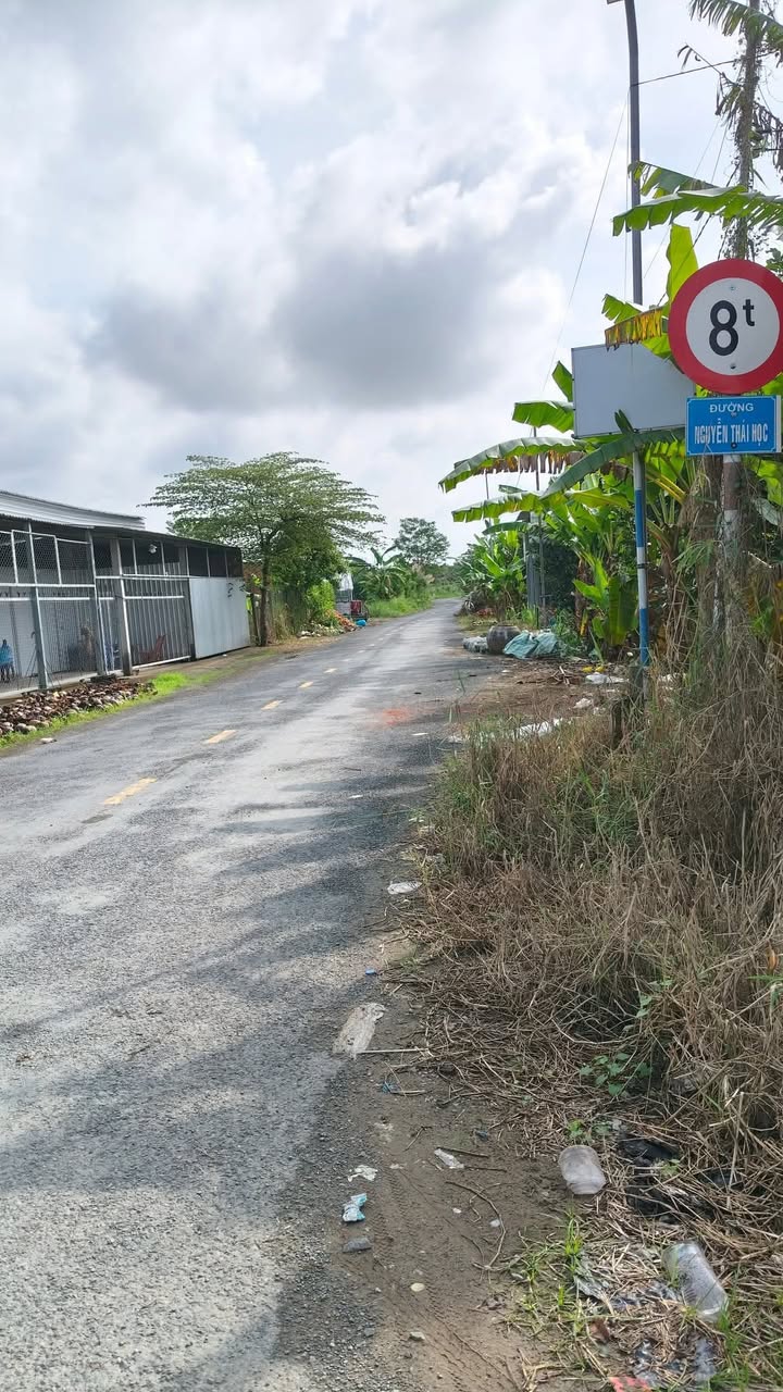 Đất mặt tiền 60m tại ấp Hòa Quý, Cái Bè 3000m² - Đang trồng sầu riêng, giá 2.1 tỷ!