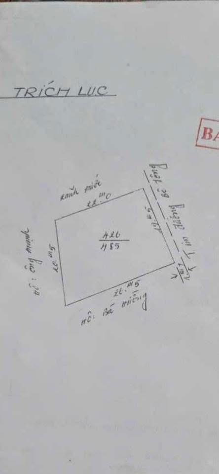 Đất nền xã Đặng Cương, huyện An Dương, 485m² - Bán gấp trước Tết!