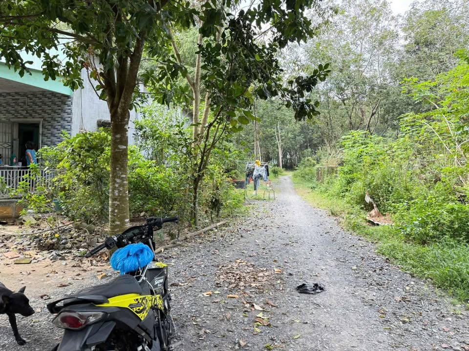 Đất thổ cư An Nhơn Tây 1396m² giá 4 tỷ - Mặt tiền đường thuận lợi!