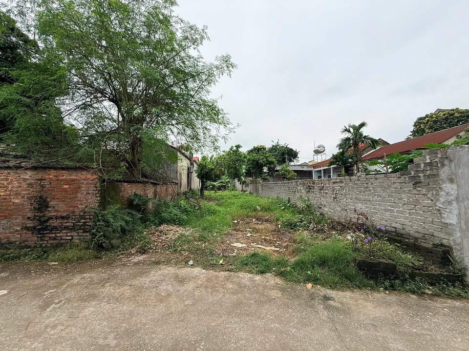 Đất hai mặt tiền Tiền Phong Yên Dũng 200m² - Kinh doanh thuận lợi!