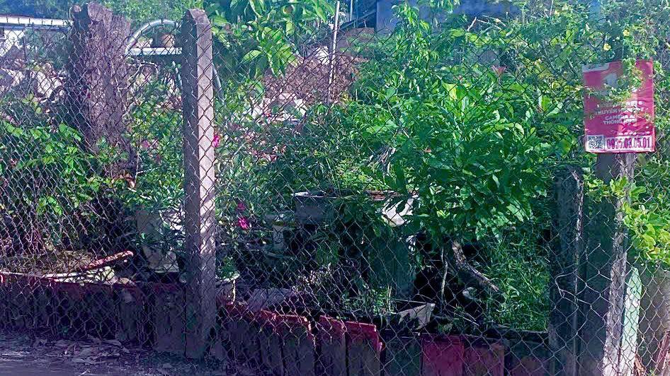 Đất nền Diên Điền, Diên Khánh 61m² - Vị trí đẹp, đầu tư sinh lời!