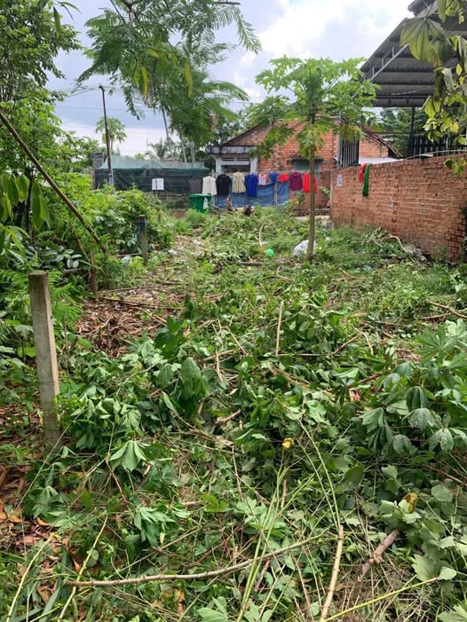 Đất nền Kp An Quới, An Hòa, 225m² giá chỉ 900 triệu - Cơ hội đầu tư không thể bỏ lỡ!