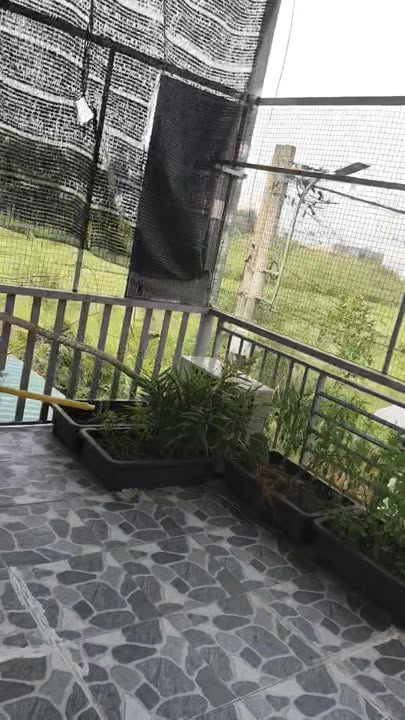 Nhà riêng 52m² tại Bình Mỹ, Củ Chi giá chỉ 1.17 tỷ - Sổ hồng chính chủ!