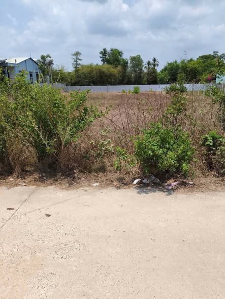 Đất nền Long Thành Nam, phường Long Hoa, 250m² giá 650 triệu - Cơ hội đầu tư tuyệt vời!