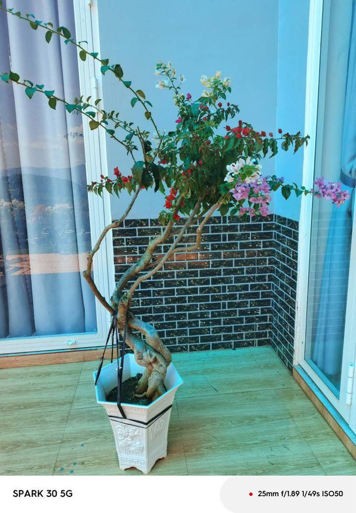 Đất nền 4 xào tại thị trấn Nam Ban, Lâm Hà - Giá hợp lý, thuận tiện nghỉ dưỡng!