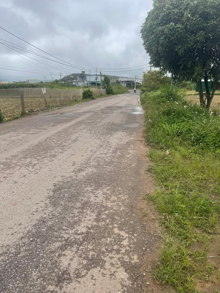 Đất mặt tiền đường Phạm Ngọc Thạch, Thạnh Mỹ, Đơn Dương, 854m² giá 3.8 tỷ - Tiềm năng kinh doanh lớn!