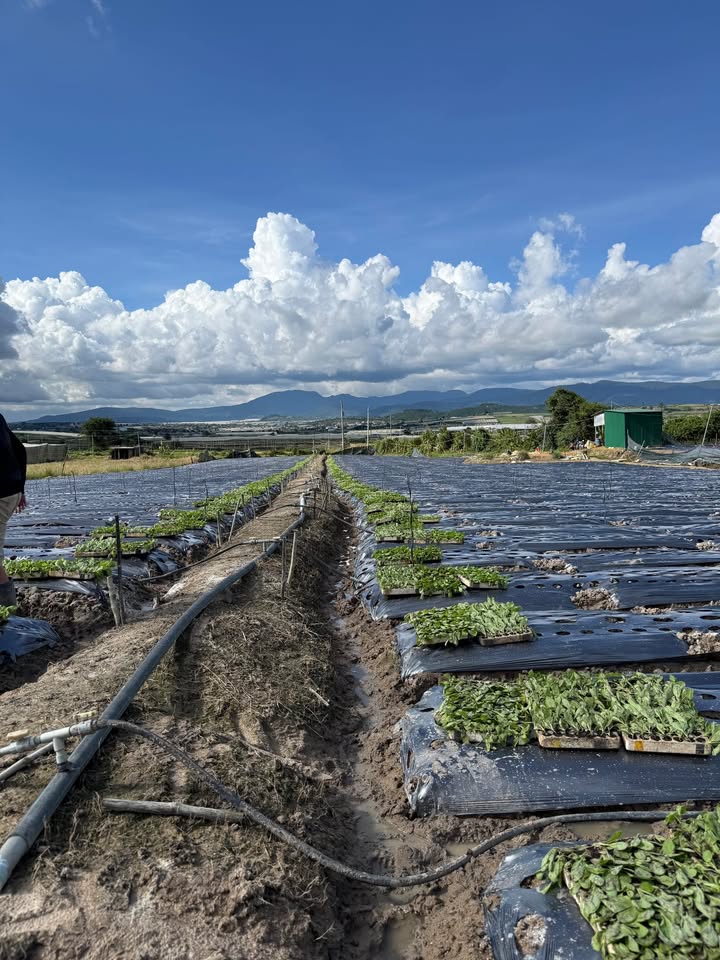 Đất nền Ka Đơn, Đơn Dương 32000m² giá 4 tỷ - Đầu tư sinh lời ngay!