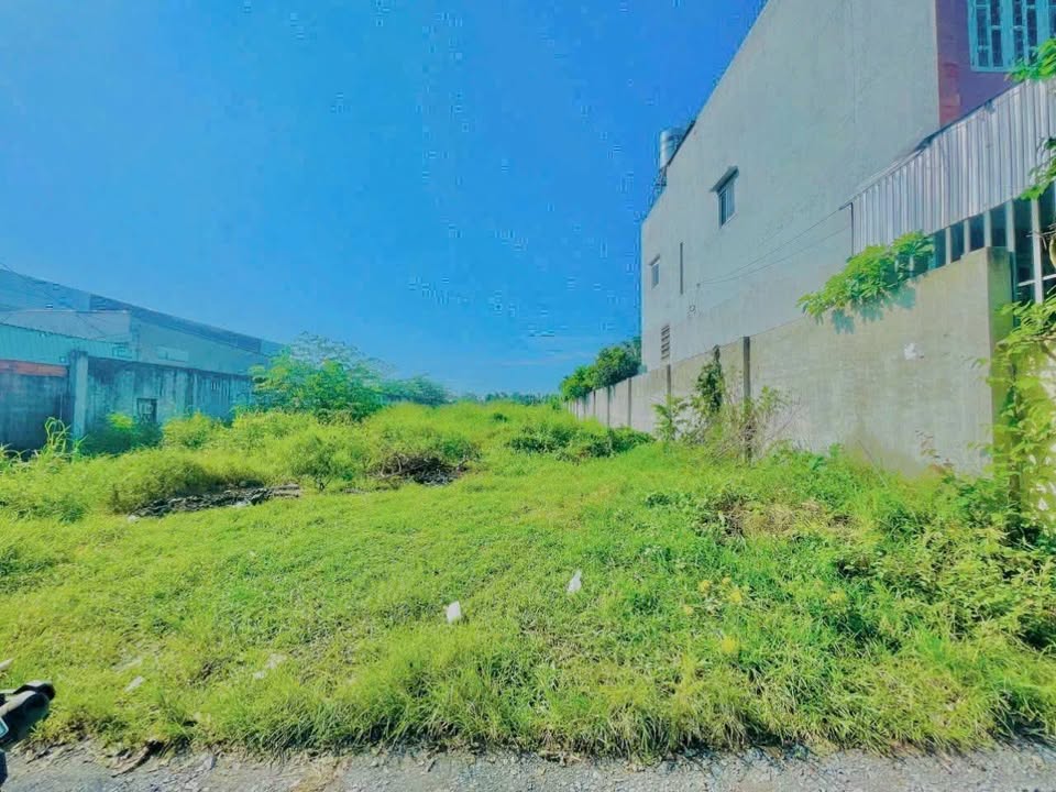 Đất nền Tân Phú Trung, Củ Chi 1024m² giá 9.8 tỷ - Đường ô tô vi vu, vị trí đẹp!