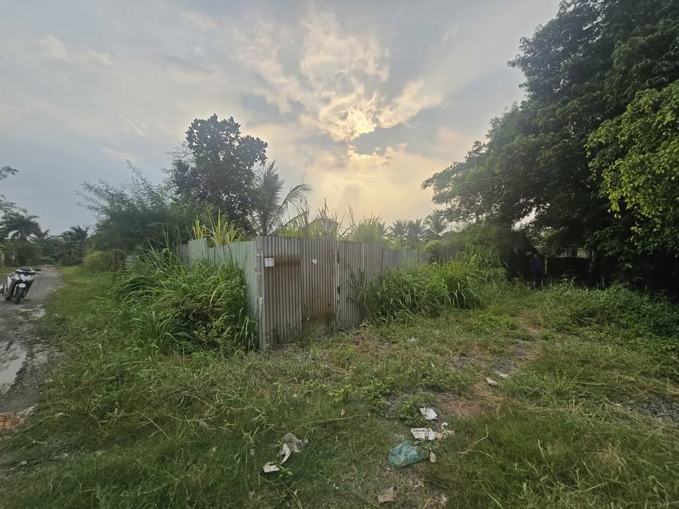 Đất mặt tiền rạch Bình Mỹ, Củ Chi 3885m² giá 16 tỷ - Cơ hội đầu tư hấp dẫn!