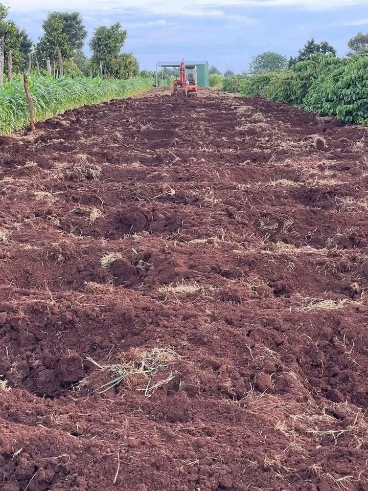 Đất nền 1.2 sào tại Quảng Phú, Cư M'gar - Diện tích 4320m², giá thỏa thuận!