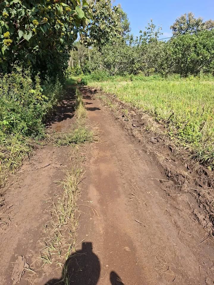 Lô đất Ea M'Droh, Cư M'gar, Đắk Lắk 8.500m² - Nhà kiên cố, giá 1.279 tỷ!