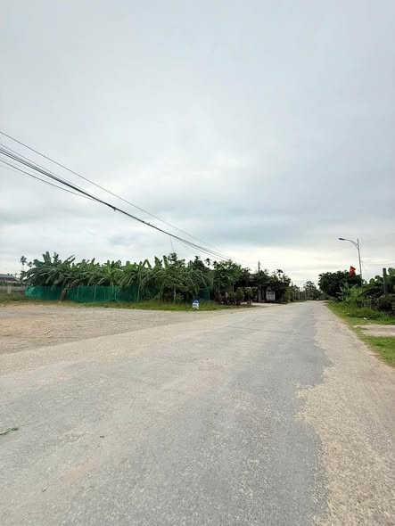 Đất thổ cư Diễn Lâm 415m² giá 1.75 tỷ - Mở bán gấp!