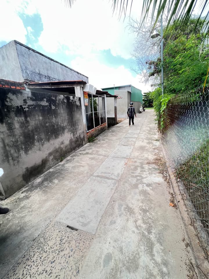 Bán đất thổ cư hẻm 203 Trần Quang Diệu, 59m² giá 860 triệu - Đường ô tô vào tận nơi!