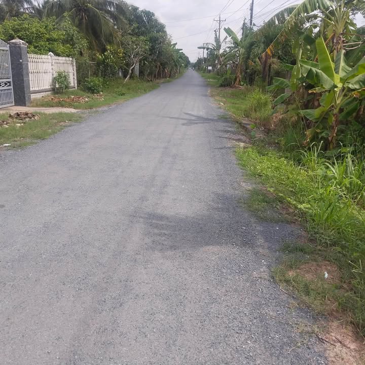 Đất nền liền kề đường ô tô Phong Nẫm, Giồng Trôm 261m² chỉ 1.04 tỷ - Đầu tư sinh lời ngay!