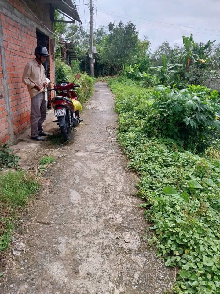 Đất thổ cư Hòa Ninh, Long Hồ, 64m² giá 150 triệu - Cơ hội đầu tư hấp dẫn!