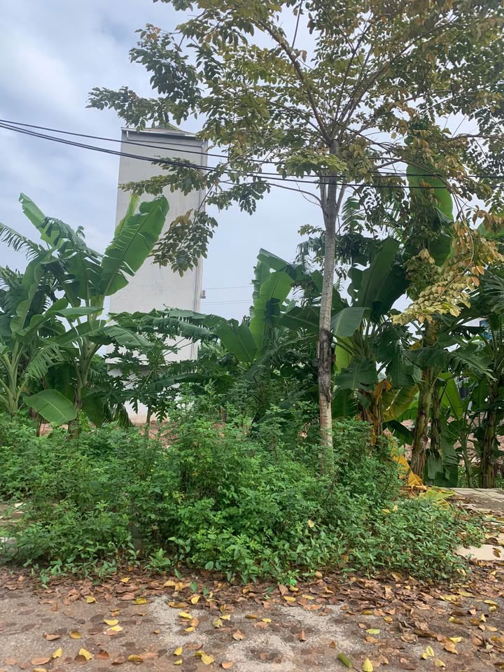 Đất Biệt Thự Nam Sơn 162m² giá 6 tỷ - Tiềm năng cho thuê cao!