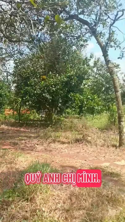 Đất nền Phú Túc, Thống Nhất 23000m² giá 2.26 tỷ - Cơ hội đầu tư tuyệt vời!