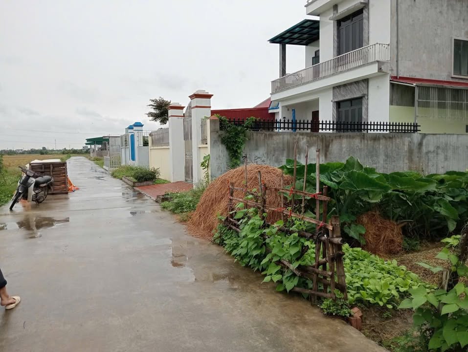 Đất nền liền kề tại xã Mê Linh, Đông Hưng - 100m² giá chỉ 120 triệu!