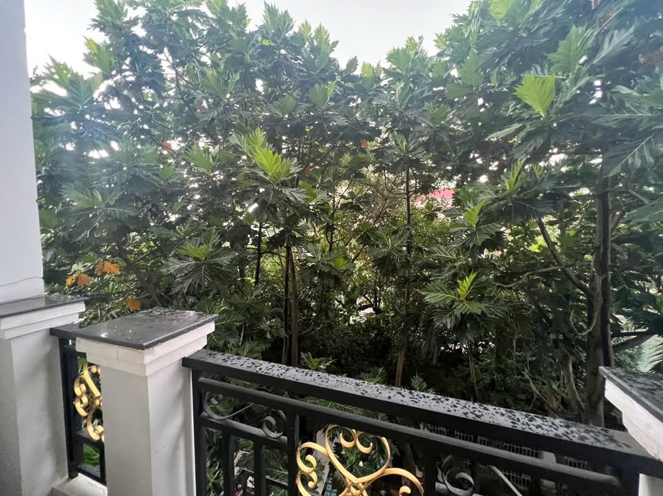 Phòng cho thuê tại 215 Nguyễn Xí, Bình Thạnh - Nội thất đầy đủ, giá tốt!