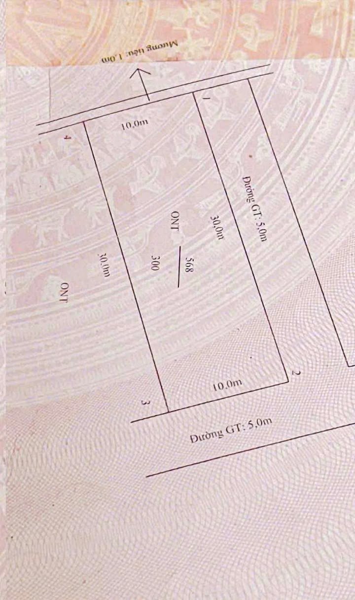 Đất thổ cư Tu Vũ - Thanh Thủy 300m² chỉ 1 tỷ - Cơ hội đầu tư hiếm có!